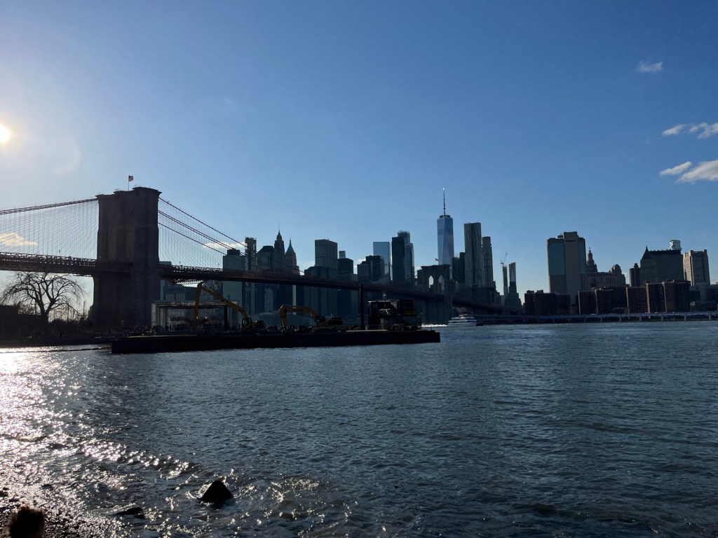 Captain Wildcard Poophead